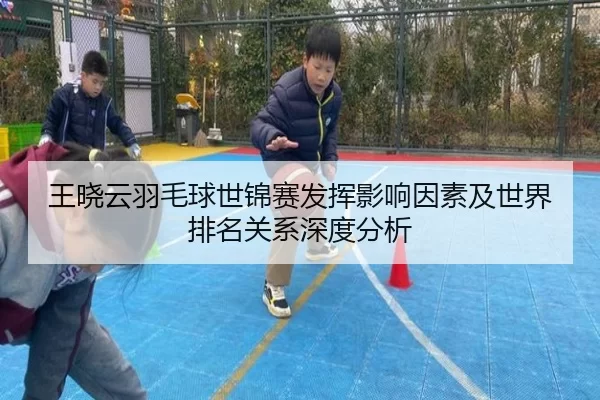 王晓云羽毛球世锦赛发挥影响因素及世界排名关系深度分析